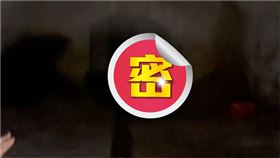 探險,家中,樓梯,恐怖,地下室