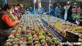 建國花市（記者陳弋攝影）