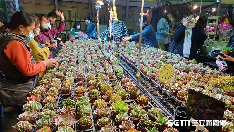 建國花市微解封　時程、防疫措施出爐