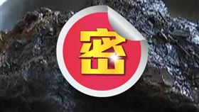 青年在河邊撿到黑漆漆的東西，認為是稱為「太歲」、價格不菲的肉靈芝。（圖／翻攝自焦點新聞） 