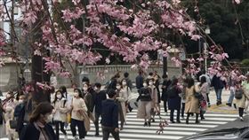 東京緊急事態宣言解除 外出民眾增多日本政府為防止疫情擴大針對首都圈1都3縣（東京都、千葉縣、神奈川縣、埼玉縣）發佈的緊急事態宣言1月8 日實施，3月22日凌晨0時解除。22日白天原宿車站附近行人增多。中央社記者楊明珠東京攝 110年3月22日