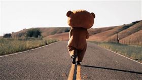 洛杉磯走到紐約　萌熊遠征公路為慈善