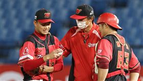 ▲味全龍徐若熙。（圖／中華職棒提供）