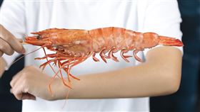 ▲美食。（圖／業者提供）