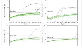 ▲中國疾病愈控制中心周報。（圖／翻攝自中國疾病愈控制中心官網）