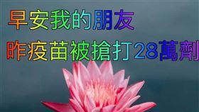 16:9
疫苗覆蓋率破20％！醫護粉專提醒這類人快打：別輕忽風險
圖／翻攝自MedPartner 美的好朋友臉書
https://www.facebook.com/MedPartnerTW/posts/4065508233560546