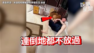 宋逸民作勢要打女兒　愛犬狂吠護主人