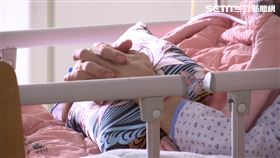 全台院內感染確診290例 