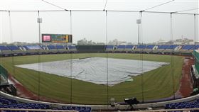 斗六球場因雨延賽。（圖／中職提供）
