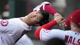 大谷翔平。（圖／美聯社／達志影像）
