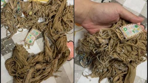 小被被抱了17年！現況曝網看傻了