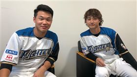 王柏融和淺間大基接受訪問。（圖／北海道日本火腿提供）