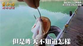 ▲但「魚虎」力氣很大，且牙齒非常尖銳。（圖／黃小四生活點滴 授權）