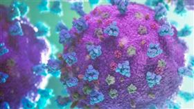 研究團隊發現「超級抗體」，能對抗新冠病毒及各種變種病毒。圖為新冠病毒電腦繪圖模型。（圖／翻攝自「NEXU Science Communication」官網）