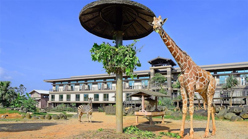 六福莊快閃23折　動物當鄰居免4千