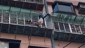 倒掛,外牆,遮雨棚,意外