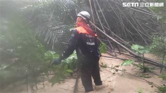 暴雨險釀人命！高雄女爬柴山迷航失蹤