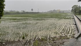 高市農業局籲農民做好田間排水　注意採收安全颱風(火因)花即將來襲，高雄市政府農業局提醒農民做好田間排水，並注意採收安全。（高雄市農業局提供）中央社記者蔡孟妤傳真  110年7月21日