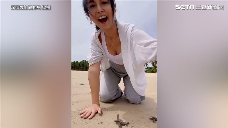海龜媽擱淺亡 台人暖助重返大海懷抱