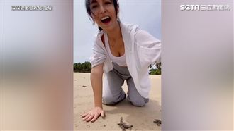 海龜媽擱淺亡 台人暖助重返大海懷抱
