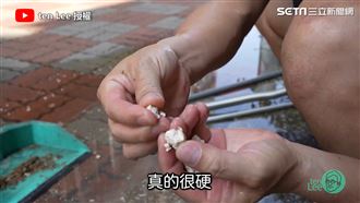 廚房排水管常阻塞　達人整支管拆來通