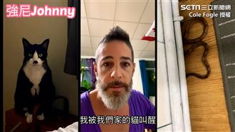 喵皇發現有蛇闖入！他急找人拆門捕捉