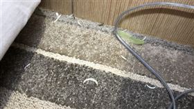 台中市北屯區防疫旅館，房間髒亂噁心，指甲屑，頭髮，丟包