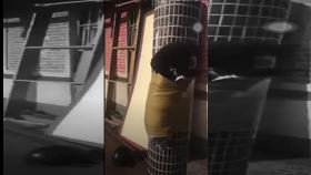 彰化永靖，虐狗，封箱膠帶綑綁柱子，圖/翻攝自江姓男子IG