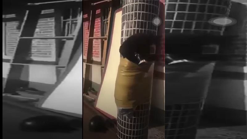 膠帶纏小黑狗綁柱子封嘴　網友怒肉搜