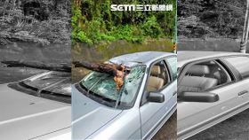 豪雨挾斷樹根砸擋風玻璃　母護女受傷（圖／翻攝畫面）