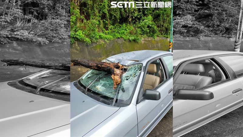 豪雨挾斷樹根砸擋風玻璃　母護女受傷