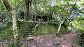 汐止翠湖步道（圖／新北市府提供）