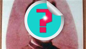 賽金花（圖／翻攝自維基百科）