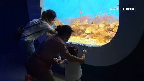 L水族開人少0930