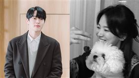 張基龍 圖愛奇藝國際站提供、宋慧喬IG