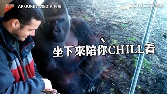 猩猩專心看平板 網：「工讀生出來」