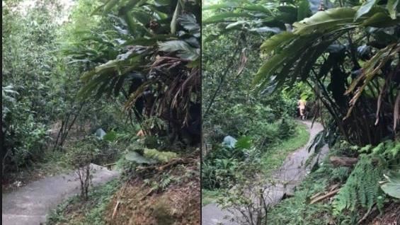 慶祝降二級？　樹林大同山驚見裸奔男