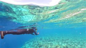 帛琉,大斷層,浮潛,海底,水上運動,夏天,旅遊,台帛旅遊泡泡,旅遊泡泡（圖／記者花芸曦攝影）