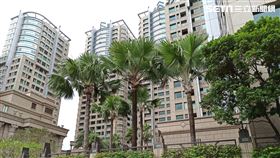 帝寶（記者陳弋攝影）