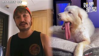 KID領養殘疾浪浪！暖謝牠度過低潮