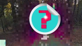 網友使用Google地圖時，發現加州有座樹林整片呈現魔幻紫紅色。（圖／翻攝自reddit討論區）