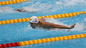 ▲東京奧運中華游泳代表隊選手王冠閎。（圖／體育署提供）