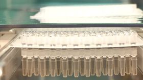 八月打高端0700(DL)