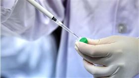 國產武漢肺炎疫苗有望迎來第一筆訂單，高端疫苗24日證實，已與馬來西亞公司Metronic Global Bhd （MGB）簽下300萬劑新冠疫苗預先採購MOU。（中央社檔案照片）