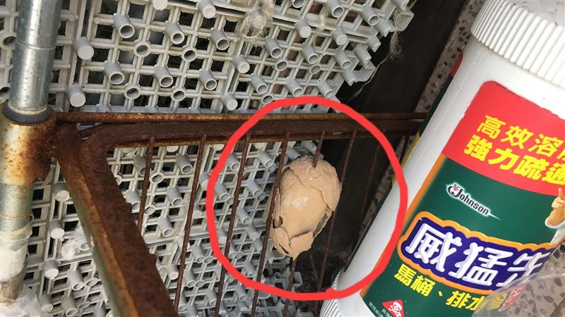 不明生物築巢陽台　網歪樓：茶葉蛋啦