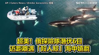 探險隊潛伏6日　近距離遇「殺人鯨」