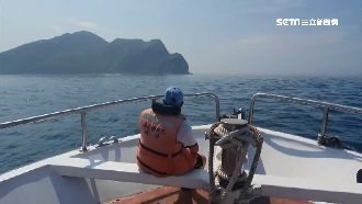 絕美！龜山島海域近300隻海豚迎客