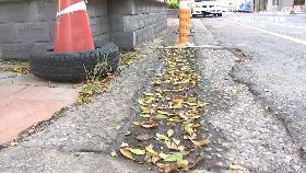 文 樹葉掃水溝1800