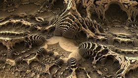 化石，圖／翻攝自Pixabay