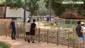 新竹市立動物園,動物,降級,（圖／翻攝畫面） 